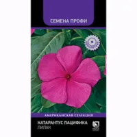 Катарантус Пацифика Лилак (Семена Профи)