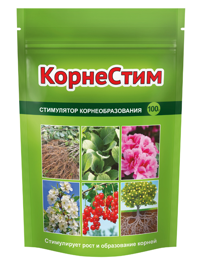 Корнестим