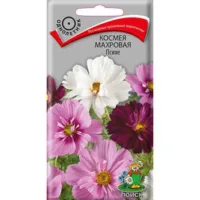 Космея махровая Психе