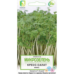 Кресс-салат Микс (Микрозелень)