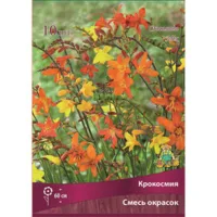 Крокосмия смесь окрасок (10шт)