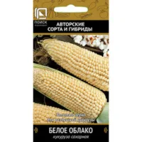 Кукуруза сахарная Белое облако
