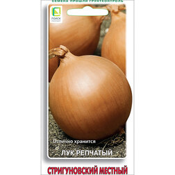 Лук репчатый Стригуновский местный