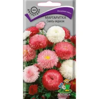 Маргаритка Смесь окрасок