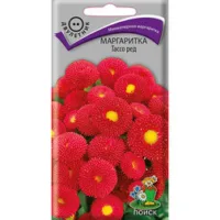 Маргаритка Тассо ред