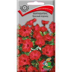 Мирабилис Красный леденец