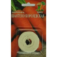 Морковь (Лента) Шантенэ Королевская