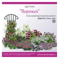 Набор семян для создания цветника "Ворожея"