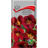 Настурция низкорослая Чёрный трюфель