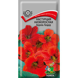Настурция низкорослая Король Теодор