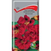 Настурция низкорослая Махагони