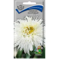 Нивяник махровый