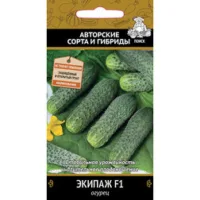 Огурец Экипаж F1
