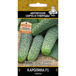 Огурец Каролина F1