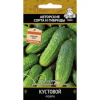 Огурец Кустовой