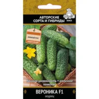 Огурец Вероника F1
