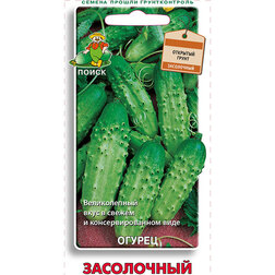 Огурец Засолочный