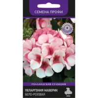 Пеларгония Маверик Бело-розовая (Семена Профи)