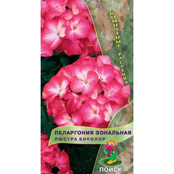 Пеларгония зональная Люстра Биколор