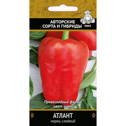 Перец сладкий Атлант