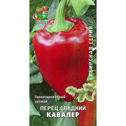 Перец сладкий Кавалер (Сибирская серия)