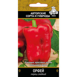Перец сладкий Орфей
