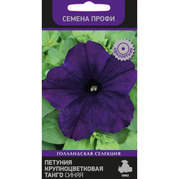 Петуния крупноцветковая Танго Синяя (Семена Профи)