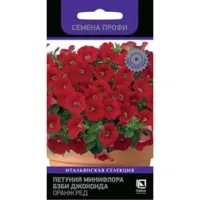 Петуния минифлора Бэби Джоконда Оранж Ред (Семена Профи)