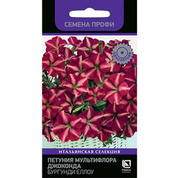 Петуния мультифлора Джоконда Бургунди Еллоу (Семена Профи)