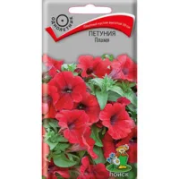 Петуния Пламя