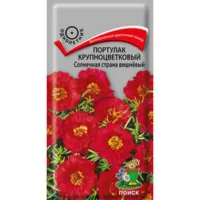 Портулак крупноцветковый Солнечная страна вишнёвый