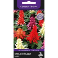 Сальвия Редди Микс (Семена Профи)