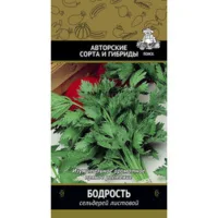 Сельдерей листовой Бодрость