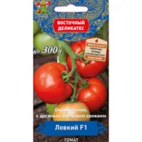 Томат Ловкий F1 (Восточный деликатес)