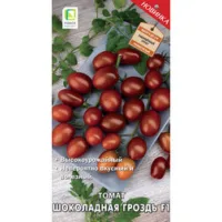 Томат Шоколадная гроздь F1