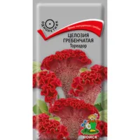 Целозия гребенчатая Тореадор
