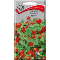 Цинния лиллипут Красная