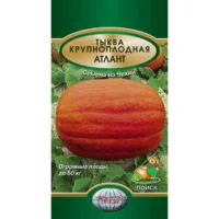 Тыква Крупноплодная Атлант