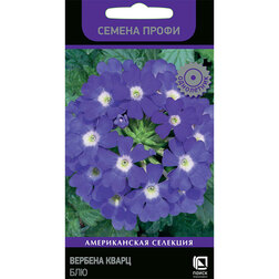 Вербена Кварц Блю (Семена Профи)