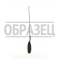 Яблоня карликовая Братчуд