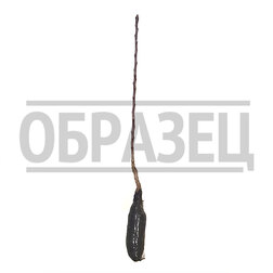 Яблоня колонновидная Восторг
