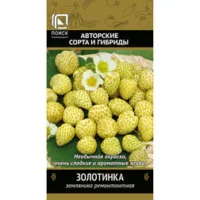 Земляника ремонтантная Золотинка