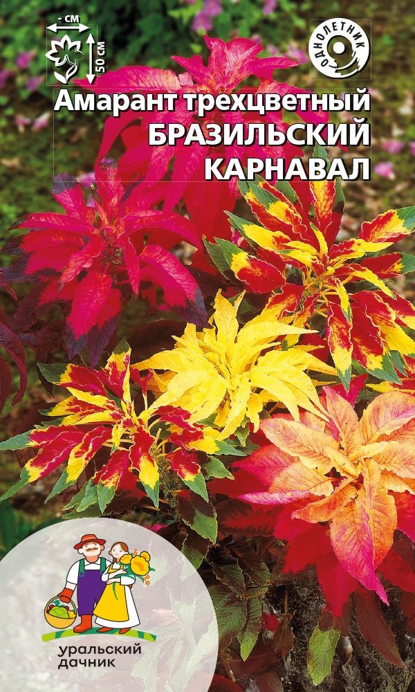 Амарант Бразильский карнавал