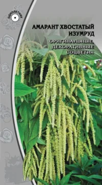 Амарант хвостатый Изумруд 0
