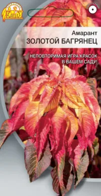 Амарант Золотой багрянец 0