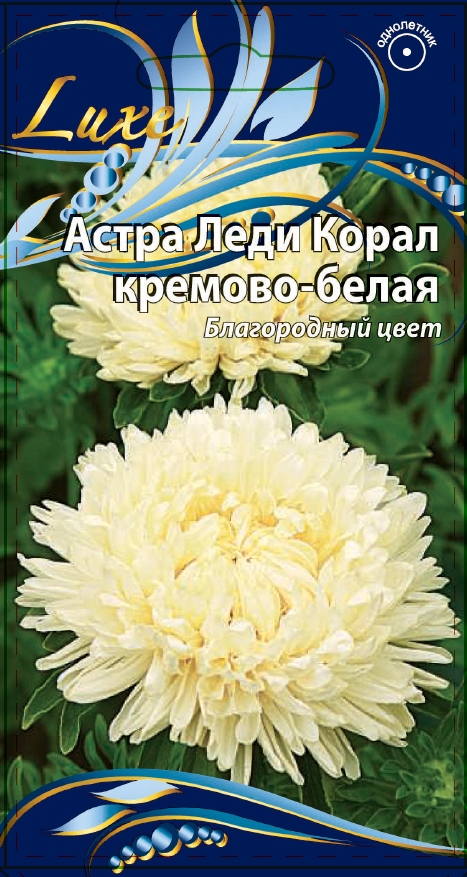 Астра Леди Корал кремово-белая 0