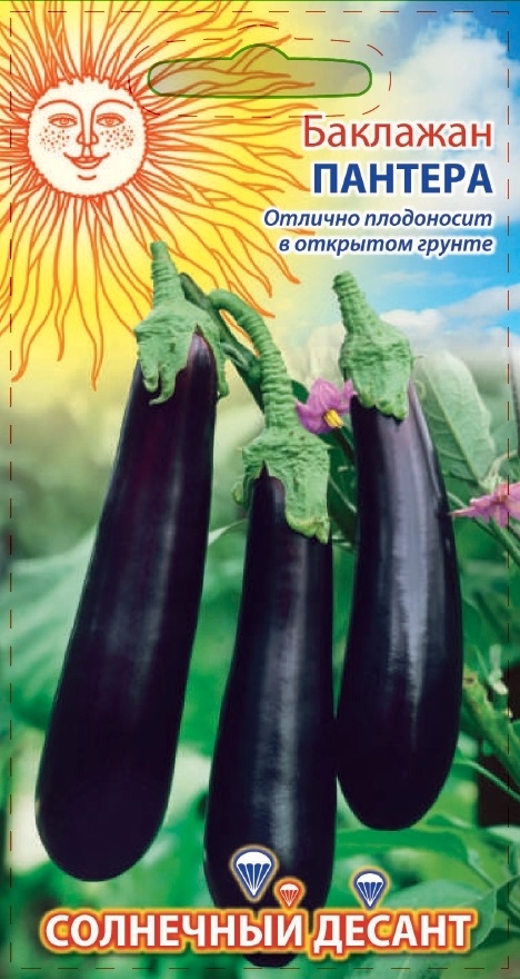 Баклажан Пантера 0