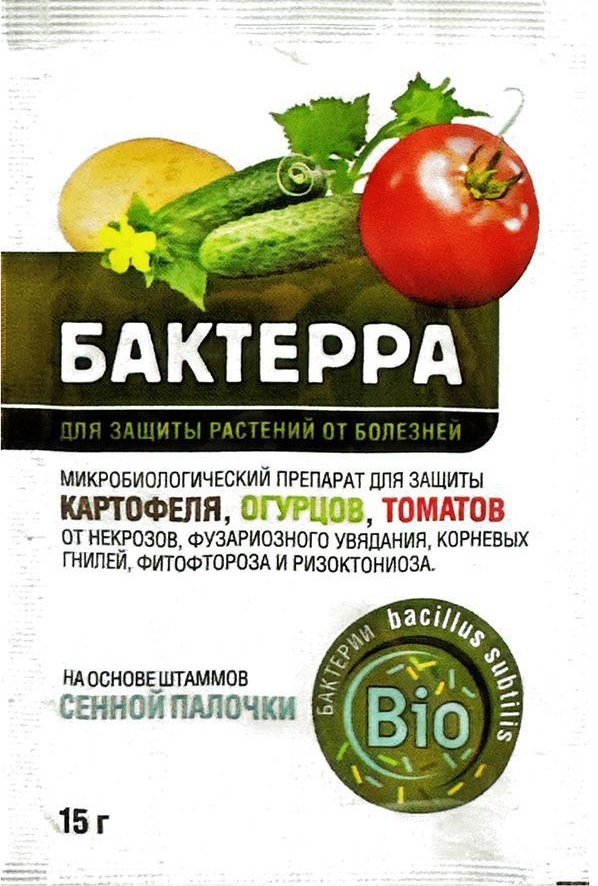 Бактерра
