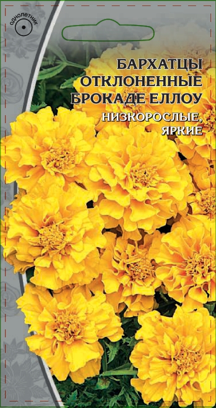 Бархатцы отклоненные Брокад Еллоу 0