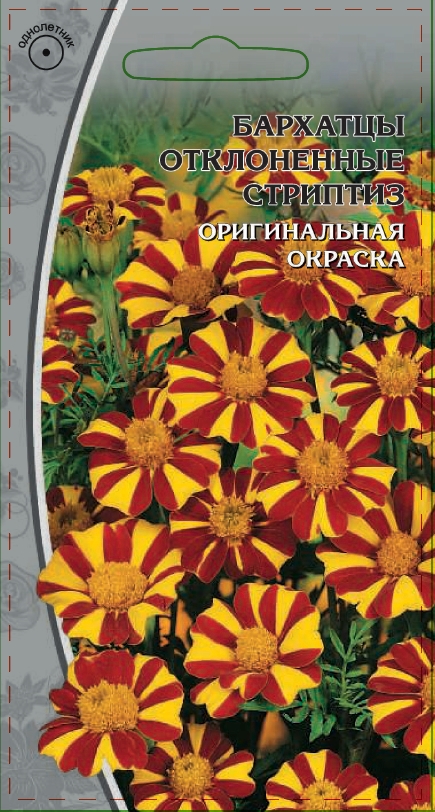 Бархатцы отклоненные Стриптиз 0
